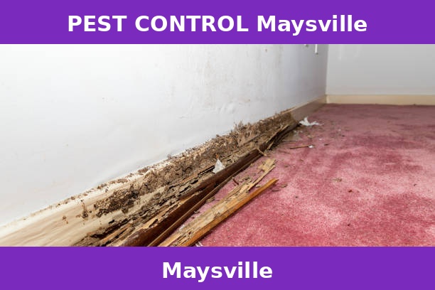 PEST CONTROL Maysville